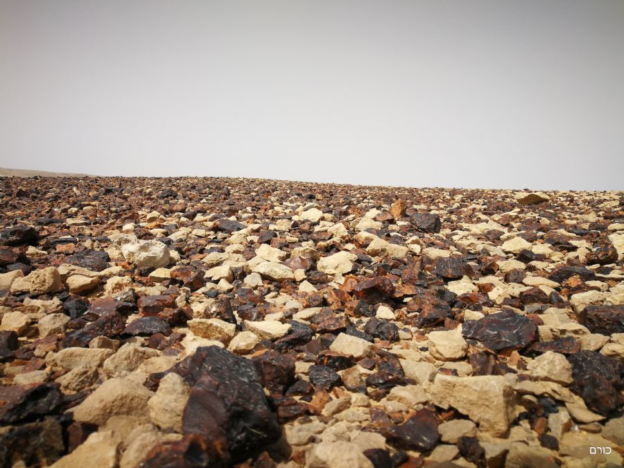 מעין שביב לעין חווה